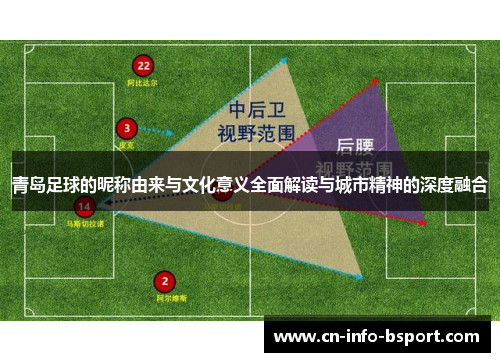 青岛足球的昵称由来与文化意义全面解读与城市精神的深度融合