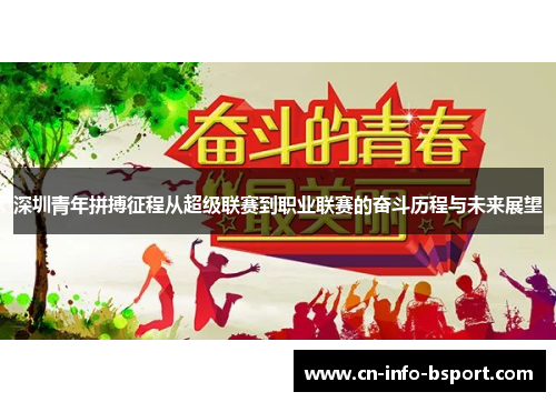 深圳青年拼搏征程从超级联赛到职业联赛的奋斗历程与未来展望