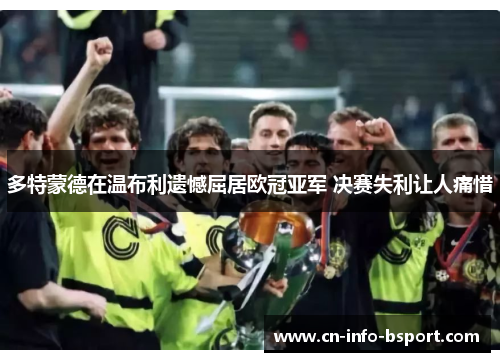 多特蒙德在温布利遗憾屈居欧冠亚军 决赛失利让人痛惜 多特蒙德在温布利遗憾屈居欧冠亚军 决赛失利让人痛惜