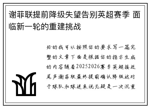谢菲联提前降级失望告别英超赛季 面临新一轮的重建挑战