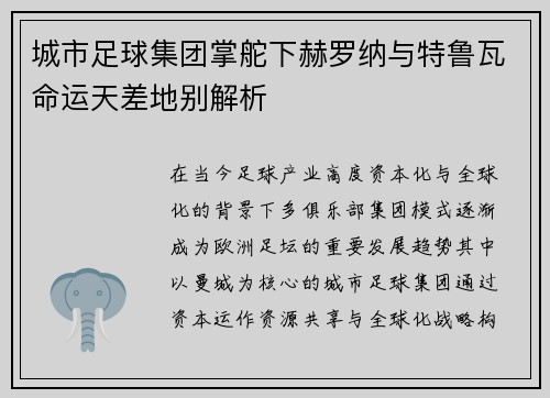 城市足球集团掌舵下赫罗纳与特鲁瓦命运天差地别解析