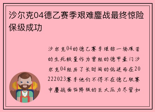沙尔克04德乙赛季艰难鏖战最终惊险保级成功